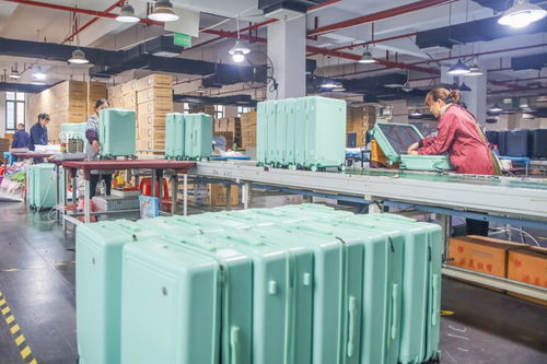 國際旅行勞務品牌 永州2023年度特色勞務新亮點